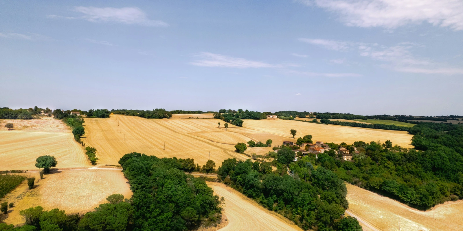 Biologie Marine : Vie et Écosystèmes des Océans