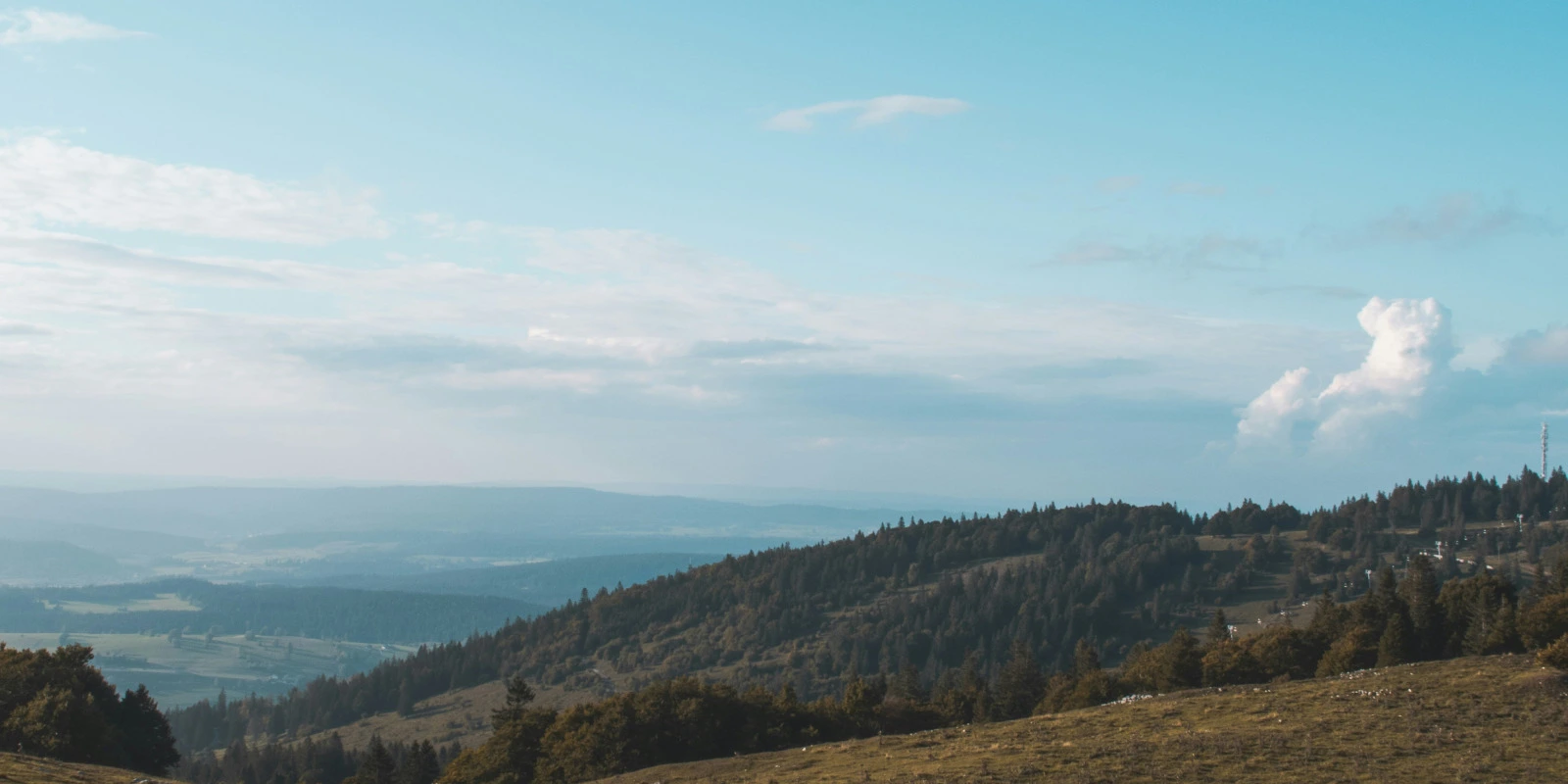 Double Licence Informatique et Sciences de la Vie