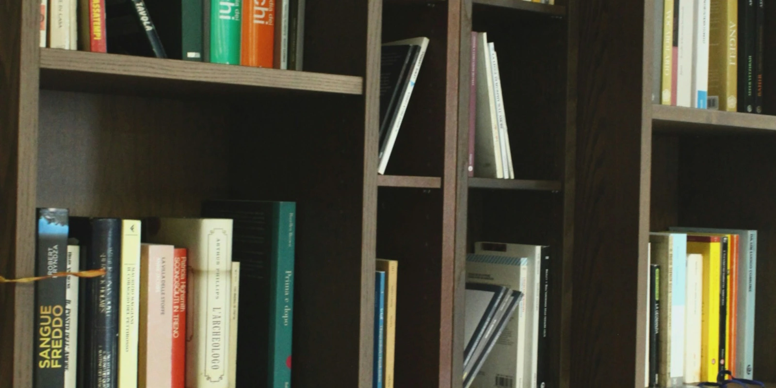 Évolution : Mécanismes et Processus Évolutifs