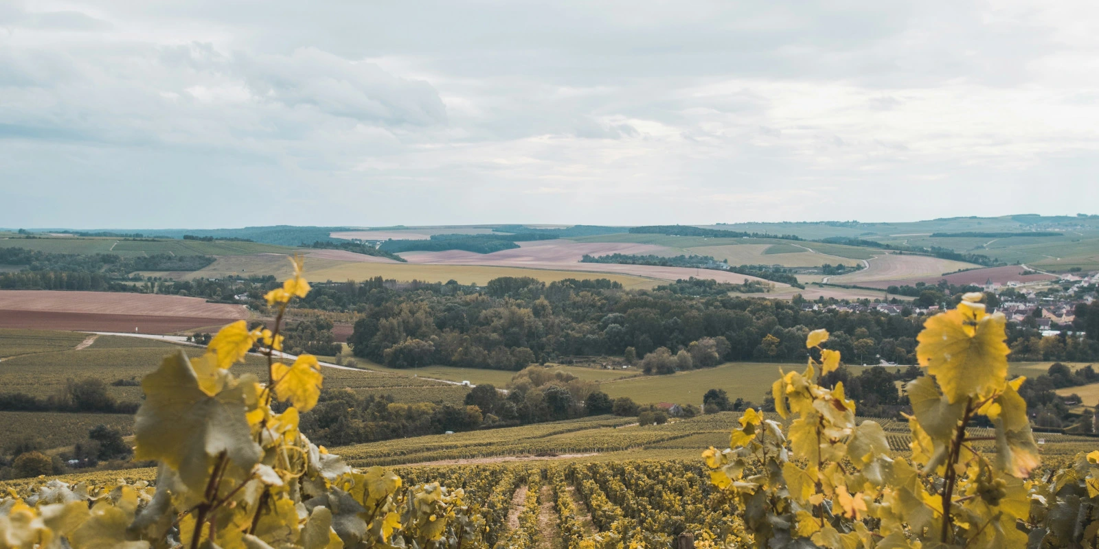 Les Avancées en Biotechnologie et Leur Impact sur la Médecine
