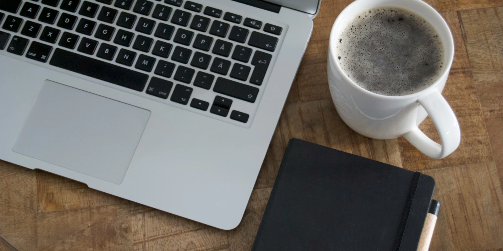 Les Débouchés après une Licence Sciences de la Vie à Saint-Étienne