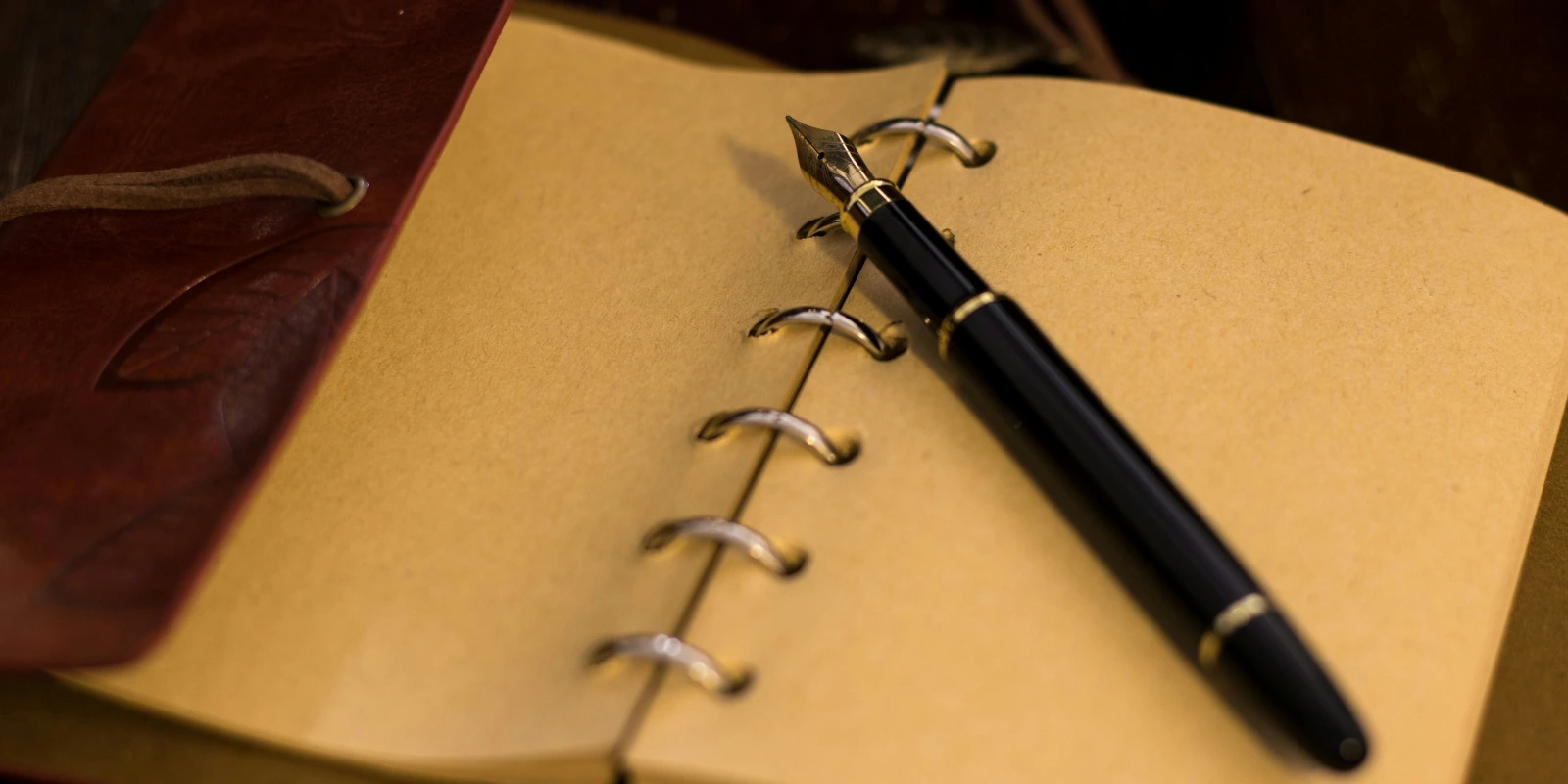 Les Plantes Médicinales : Utilisations Modernes et Traditions Anciennes