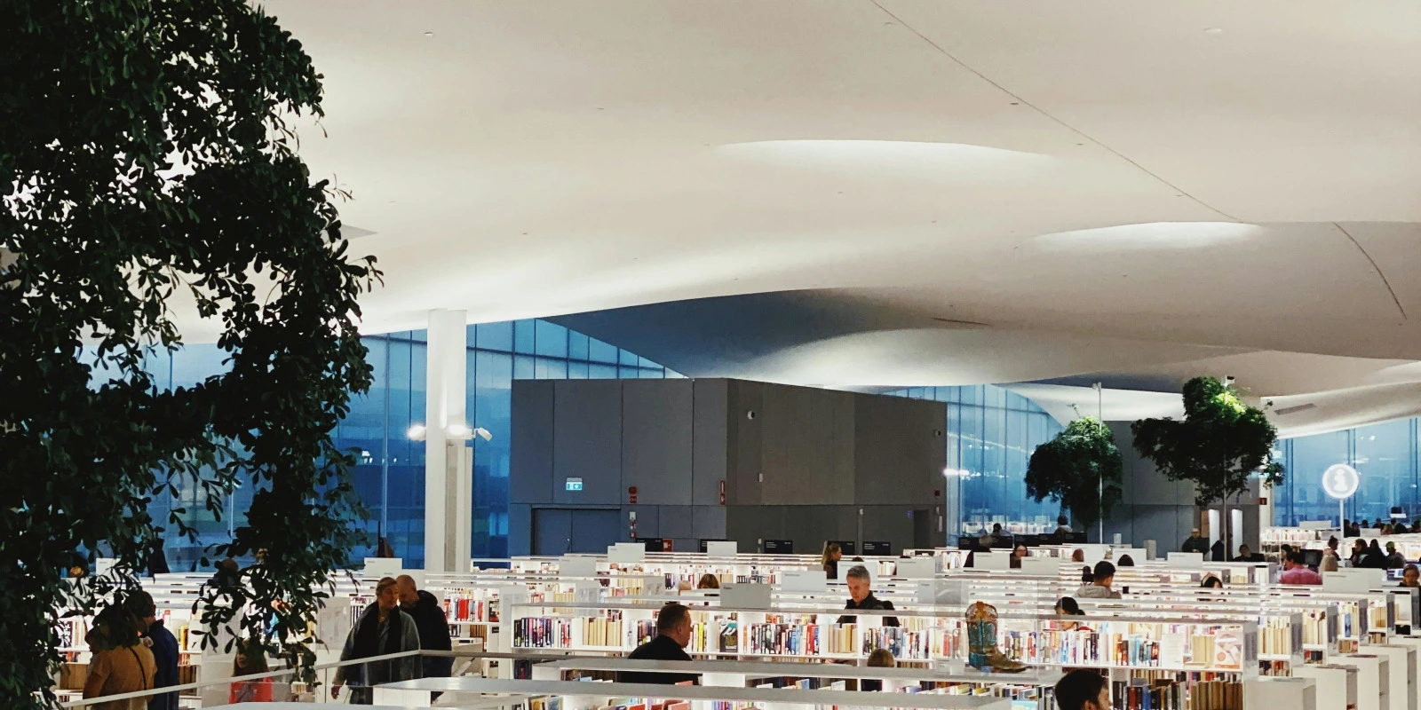 Physiologie Animale : Mécanismes et Régulation des Fonctions Vitales