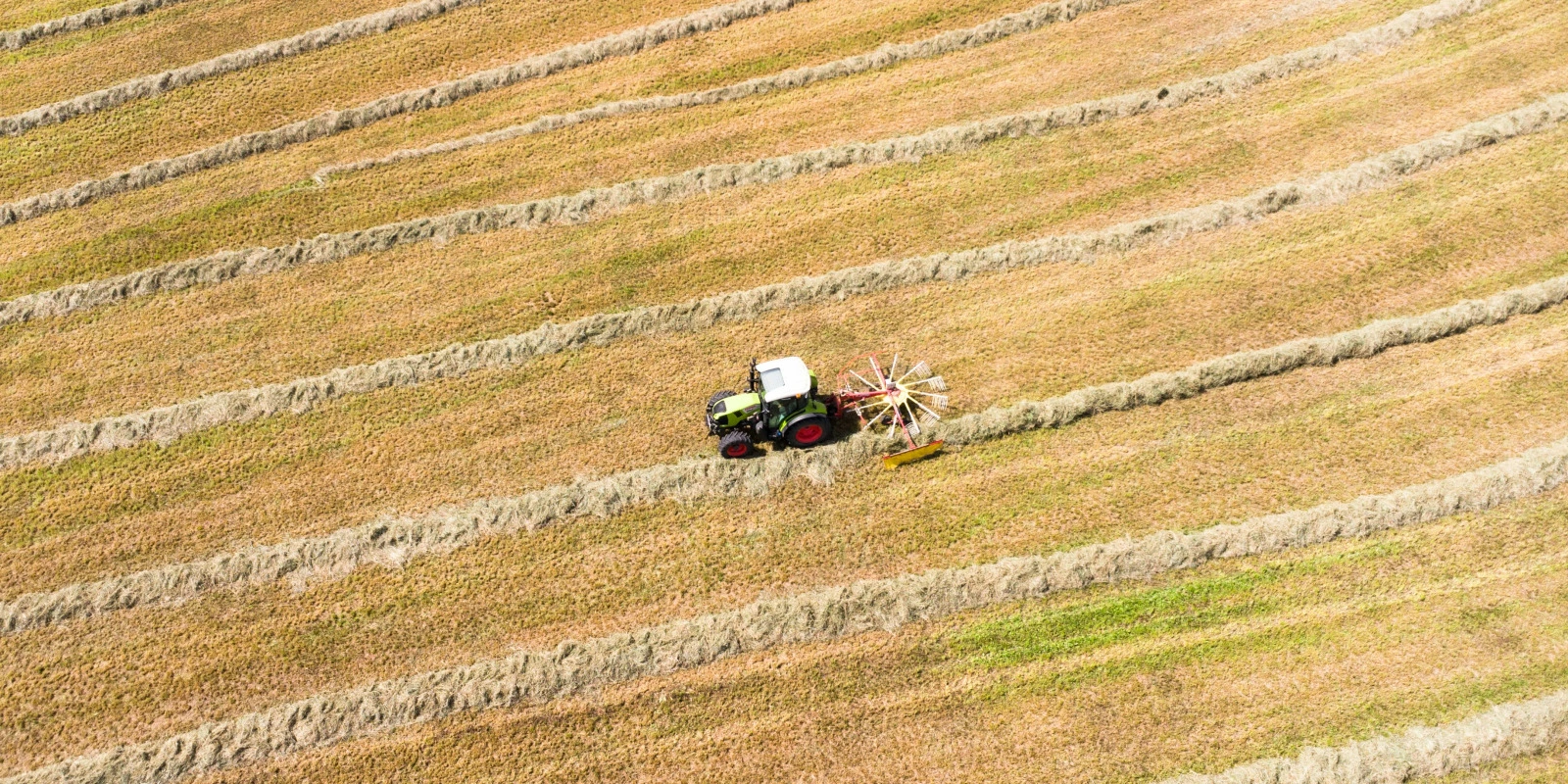 Programme de la Licence Sciences de la Vie à Lyon