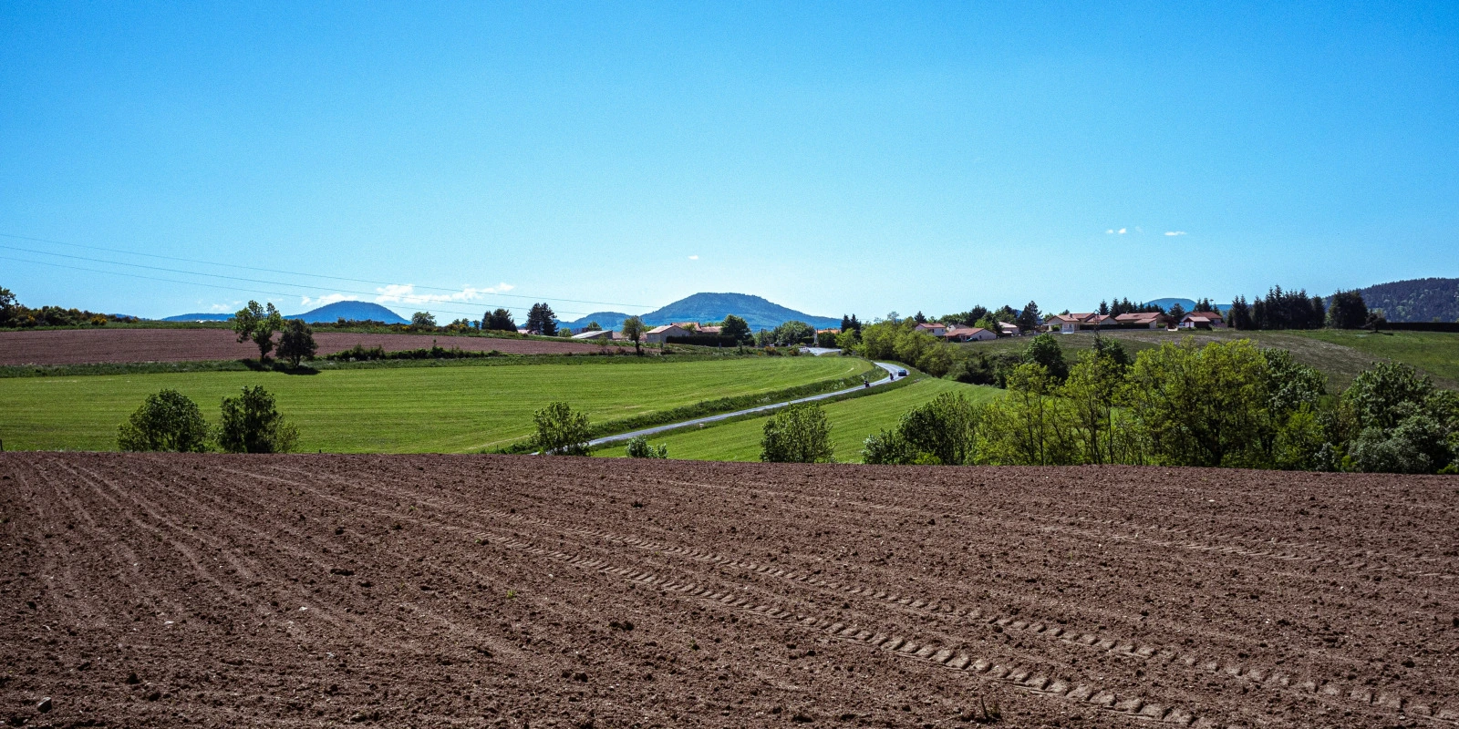 Que Faire après une Licence Sciences de la Vie à Strasbourg